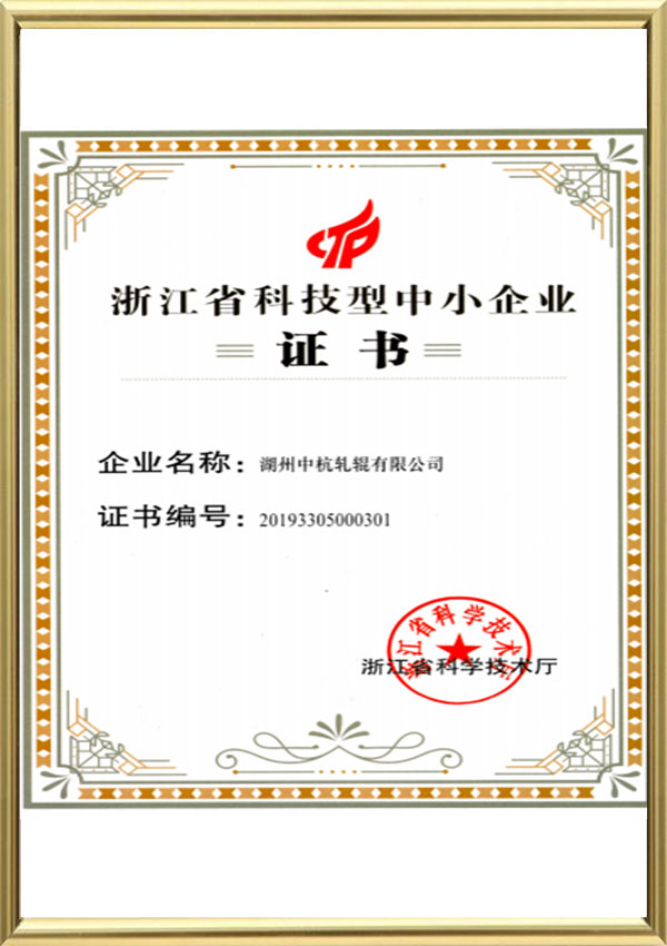 Certificat de science et technologie pour les petites et moyennes entreprises de la province du Zhejiang